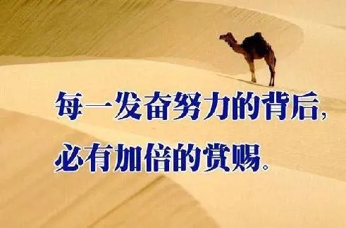 形容努力之后有收获的句子文案
