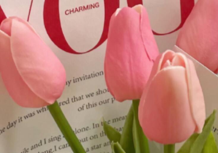 网络很火的短句