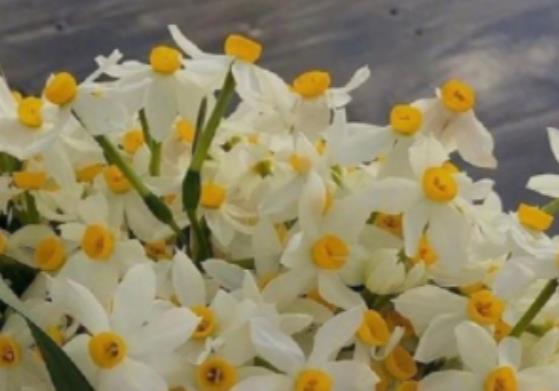 公园一游心情好的说说文案