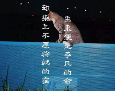 不甘平庸的诗句文案