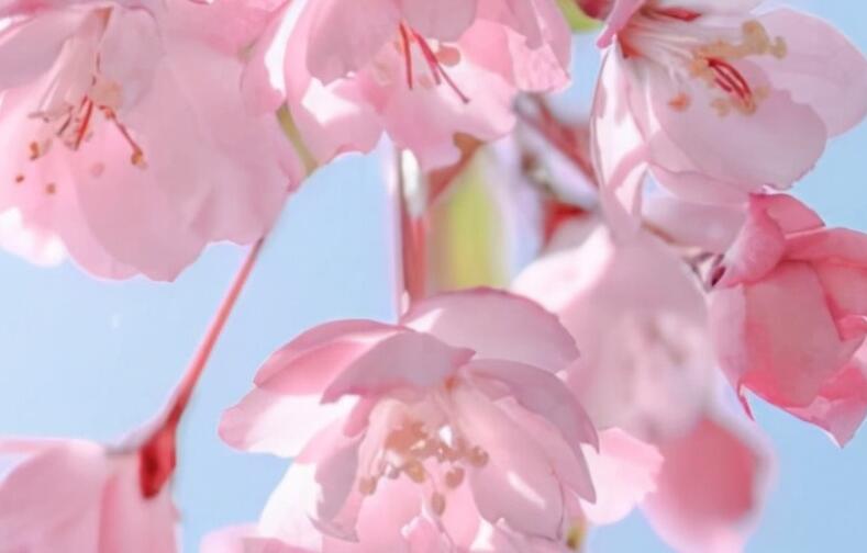 微信个性签名女生唯美