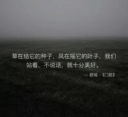 有哪些句子文案曾经惊艳过你