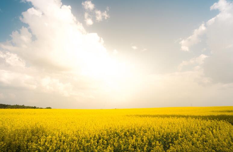 保护自尊心的优美句子文案