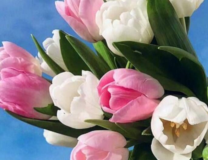 形容心定来的句子文案