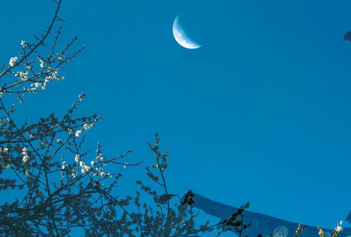 心情不好想家了怎么发朋友圈