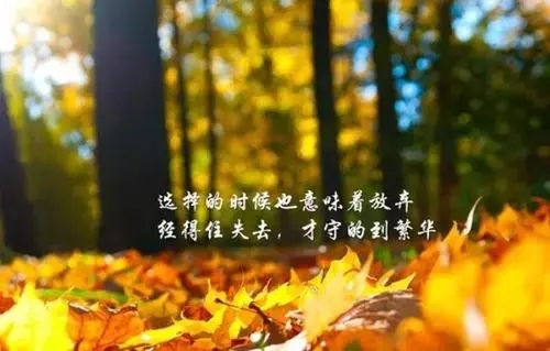 女人情感励志语录文案经典短句