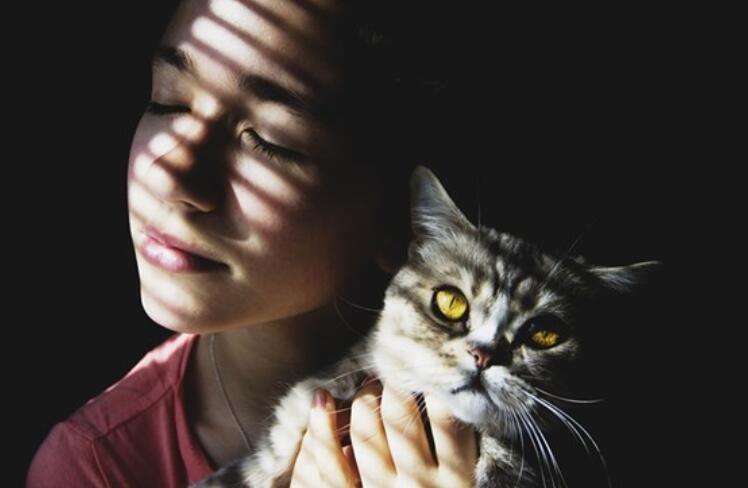 描写坚强的优美句子文案和事例