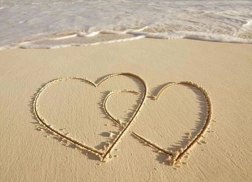 浪漫的表达爱意的诗句文案