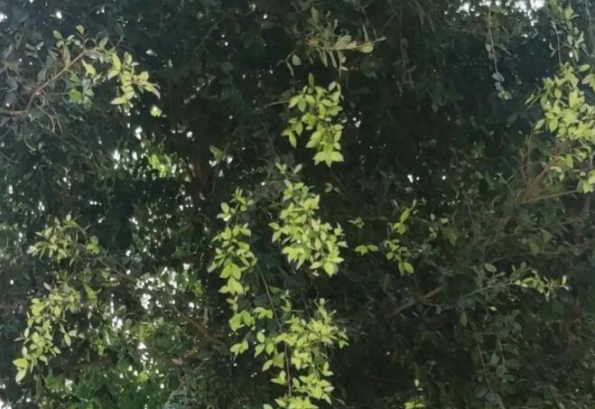 远离是非之人经典语录文案