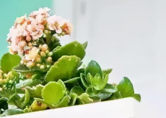 关于劳动的优美句子文案