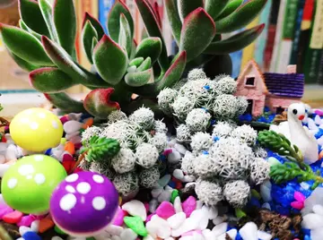 种植的心情语录文案