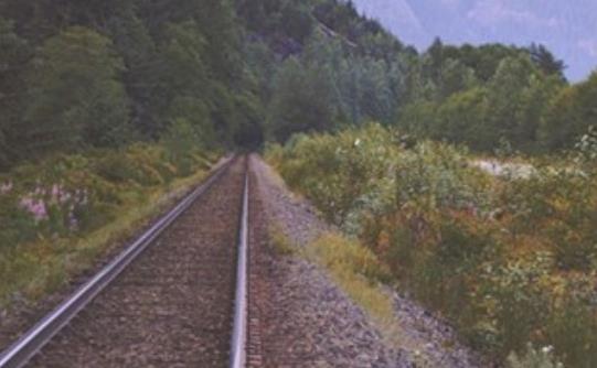 赞美母校的诗句文案和名言