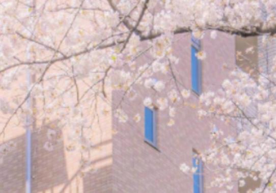 公园一游心情好的说说文案