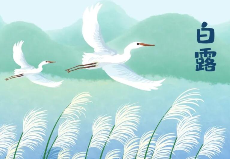 二十四节气白露的诗词