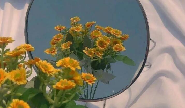 形容眼里有星辰的语录文案