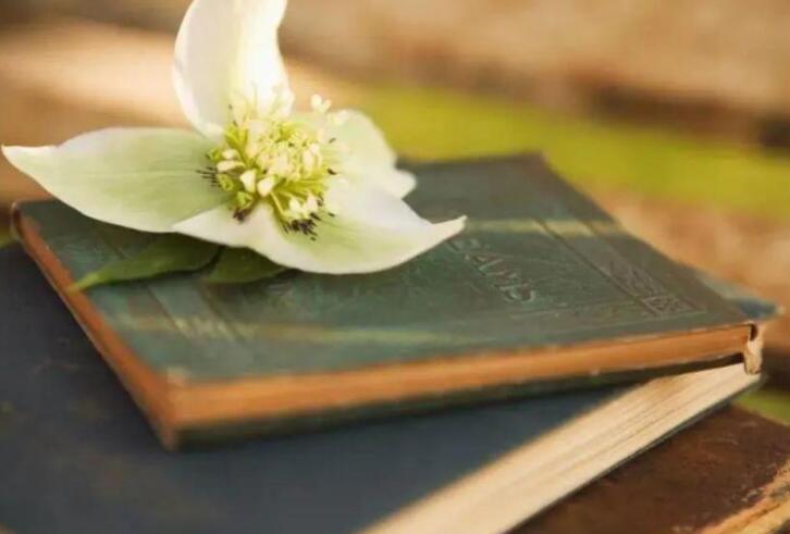 读书励志名言100句