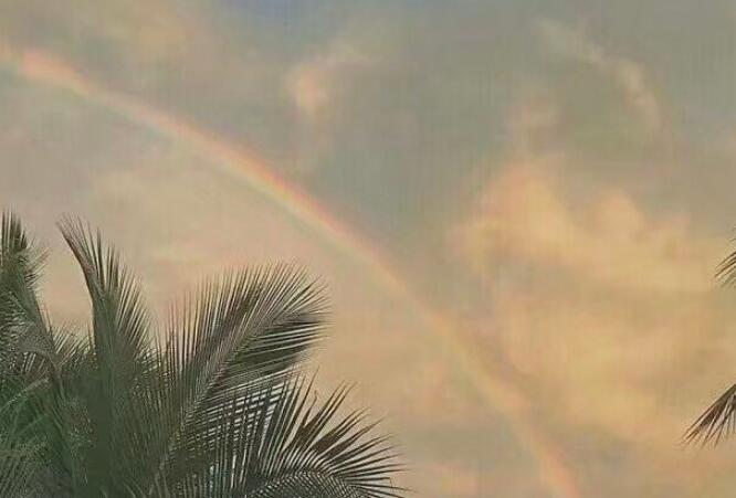 给深爱的人说分手的话