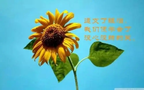 女性正能量朋友圈说说文案