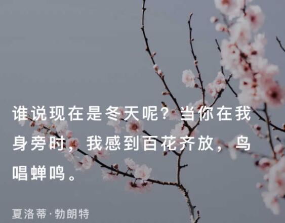 关于冬天温暖的文案