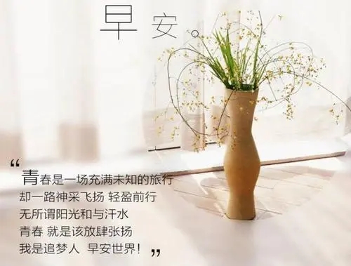 清晨语录优美句子文案正能量