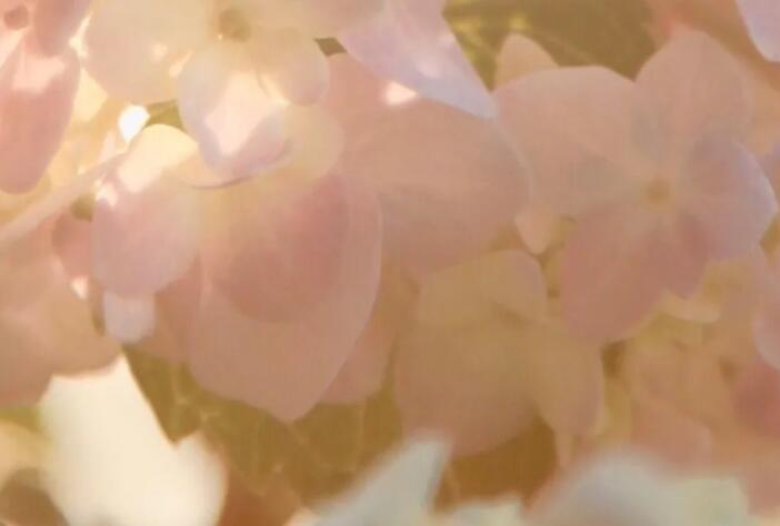 不期待的伤感说说文案