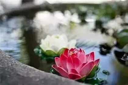 高雅经典句子文案