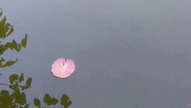 陈字开头的诗句文案唯美