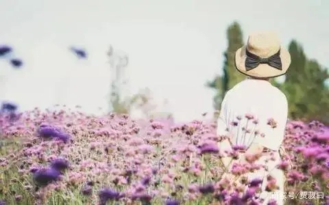 形容一个人不懂珍惜的句子文案