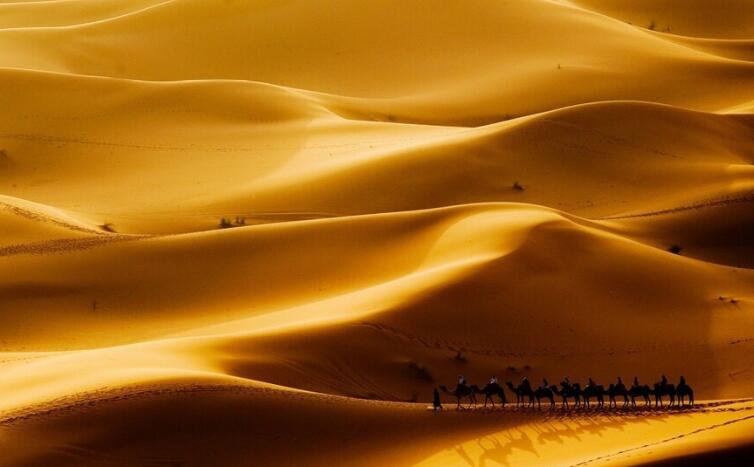 生活励志的句子文案正能量长句