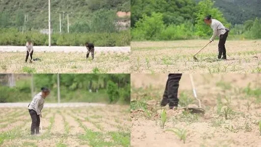 表达干活的幽默句子文案