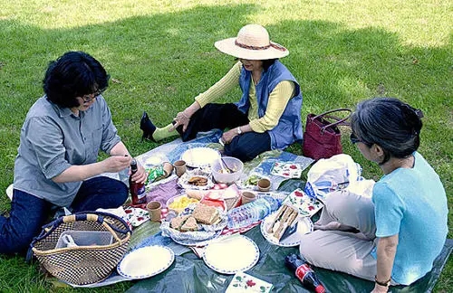 感受大自然野餐的句子文案