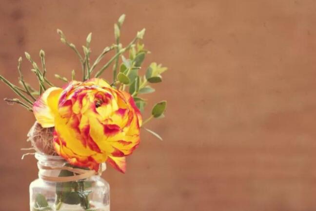 人生幸福的句子文案