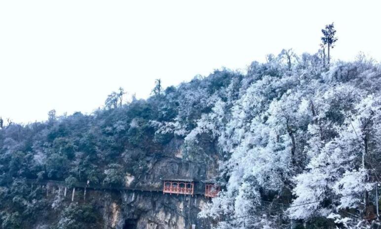 大寒关心问候的诗句文案