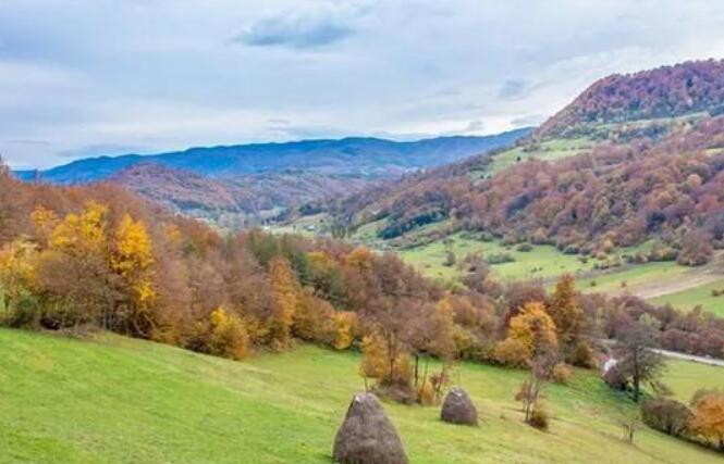 女人再苦再累自己扛的说说文案