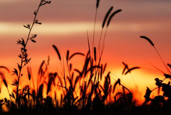 抖音说说文案心情