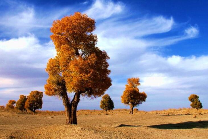 人活着要争口气的句子文案