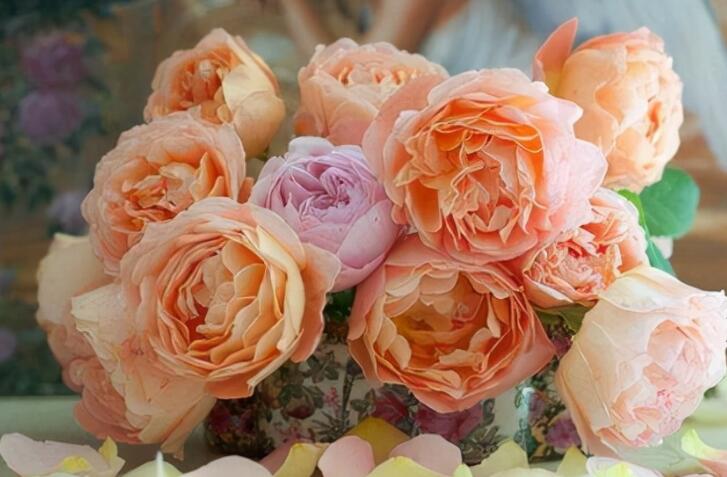 发个最伤感的说说文案怎么发