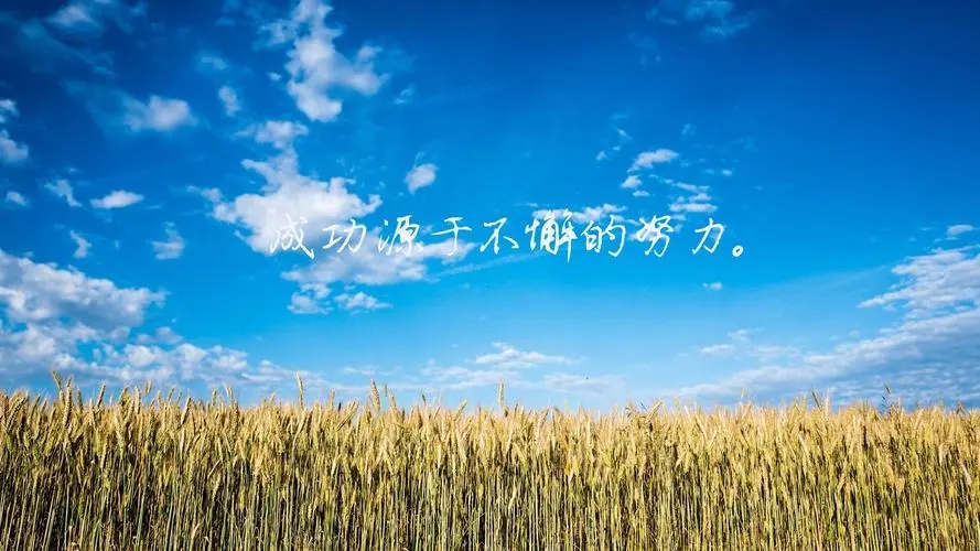 励志英语句子文案