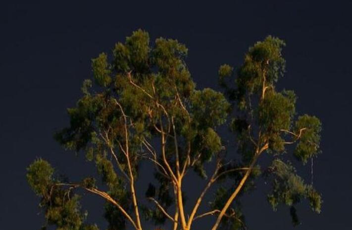 心里充满阳光唯美句子文案