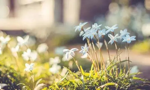 评价爱情悲剧的话