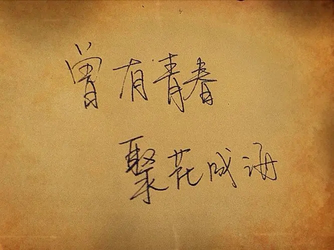 描写青春的诗句文案