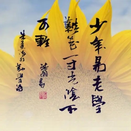 激励少年读书的诗句文案