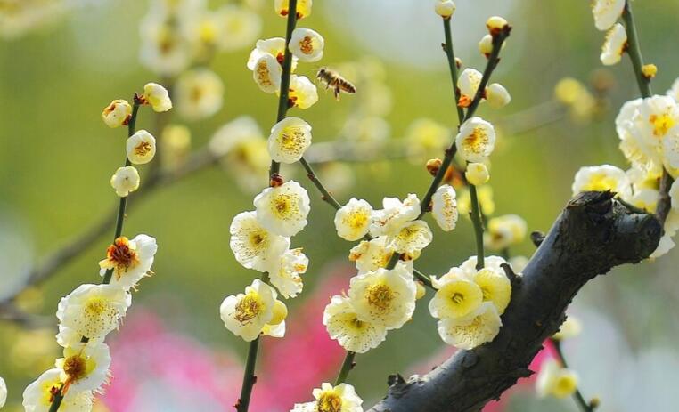 形容十二月的唯美语句文案