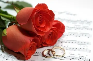 送给长辈祝福的诗词