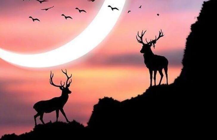 向梦想出发的句子文案