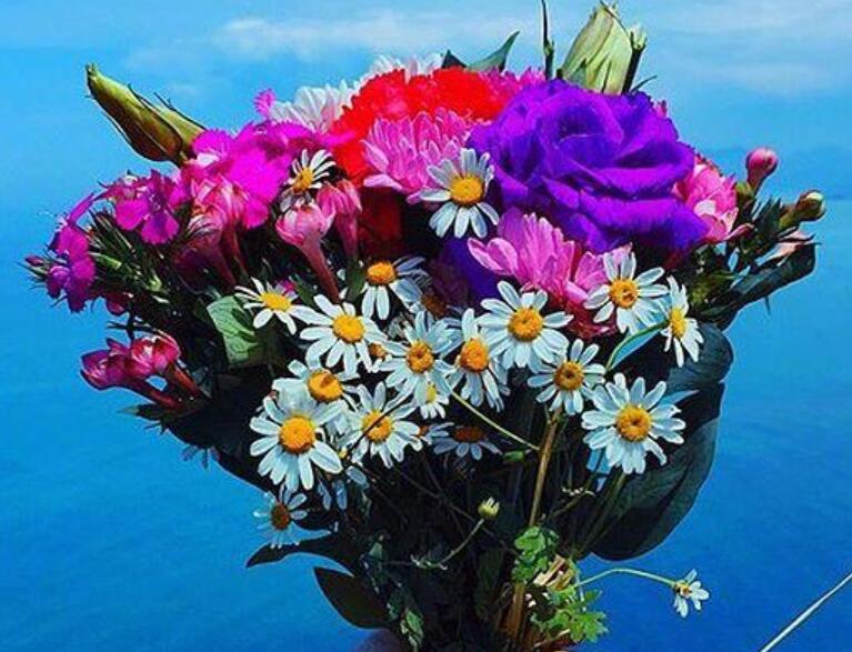 励志语录文案早安心语