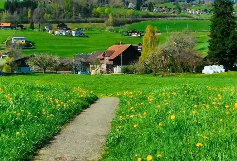 赞美人与自然的句子文案