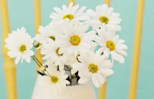 关于晚安的句子文案短句子文案