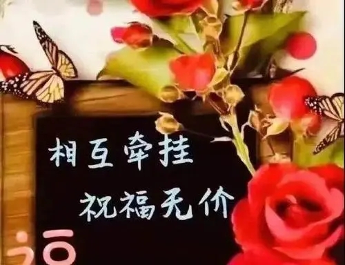老朋友早上短句问候