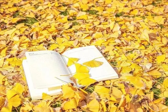 秋叶离愁诗句文案